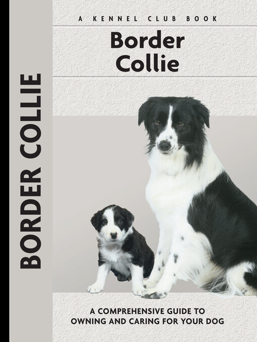 Title details for Border Collie by Stephen Sussam - Available